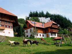 Bauernhof im Nordschwarzwald